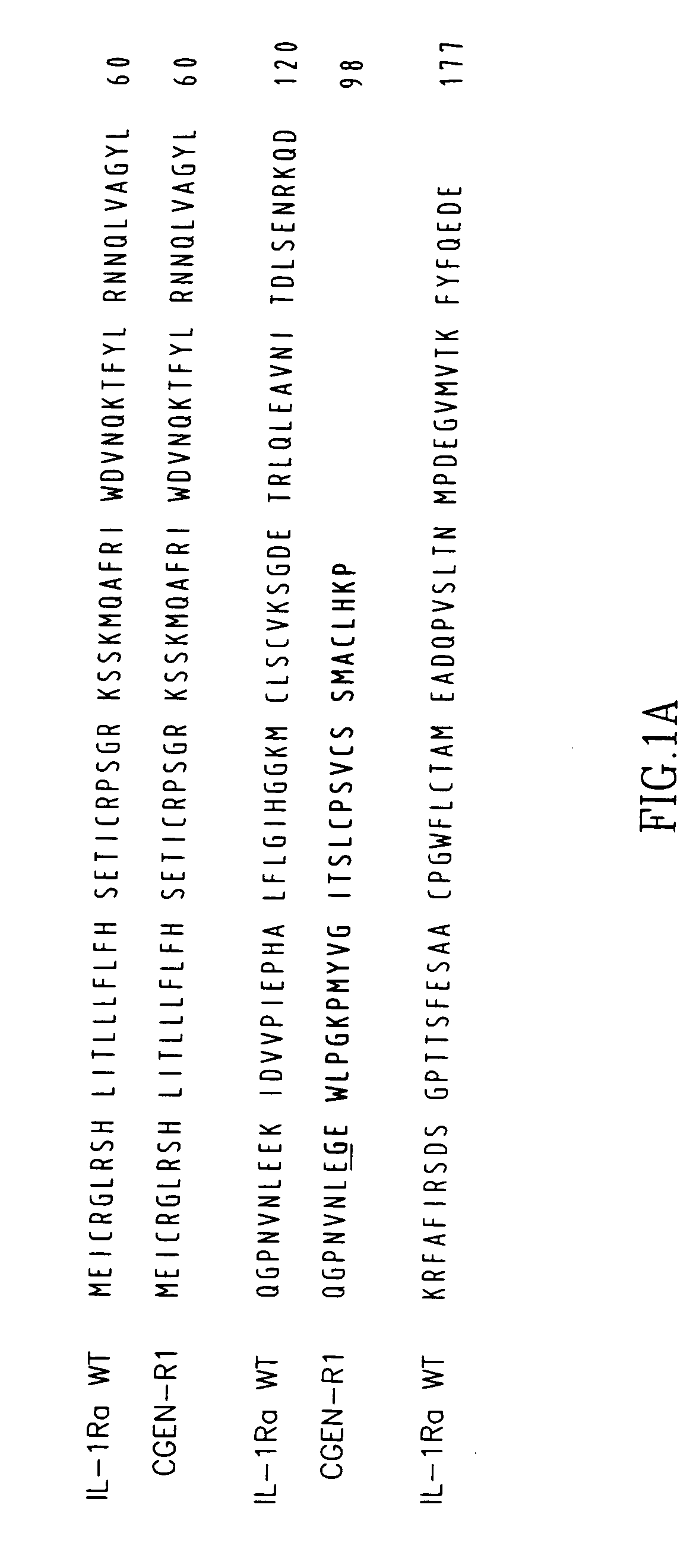 Variants of interleukin-1 receptor antagonist: compositions and uses thereof