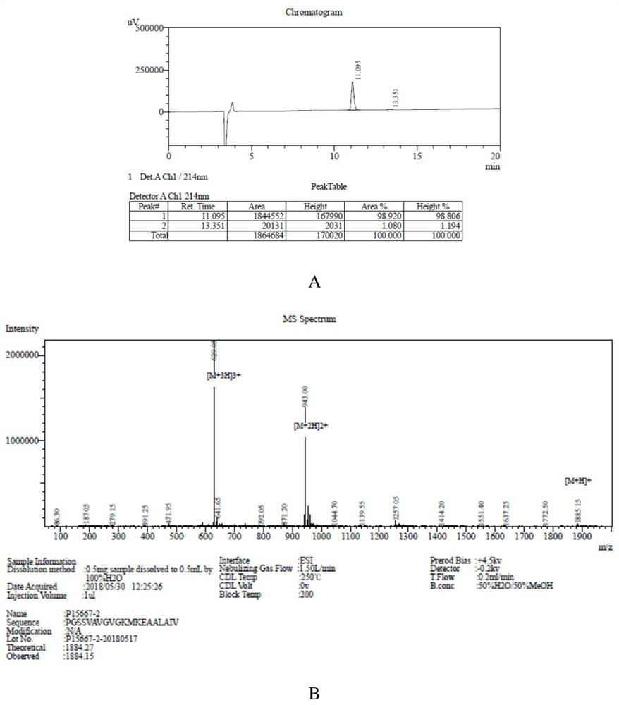 Application of a kind of phycocyanin peptide in the preparation of anti-pulmonary fibrosis medicine