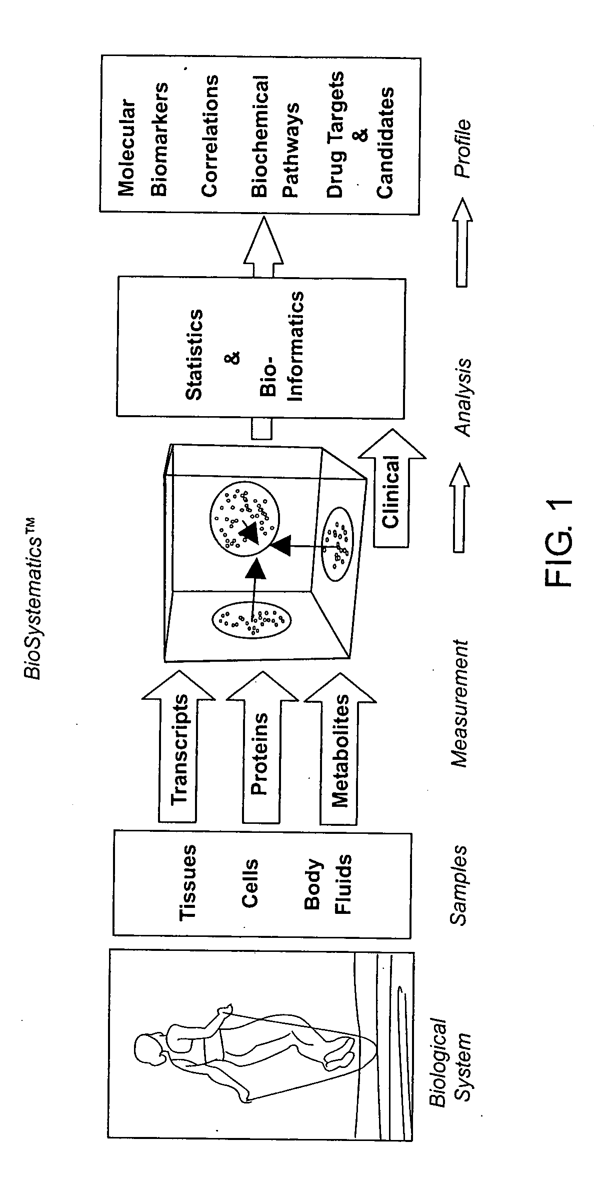 Methods and systems for profiling biological systems