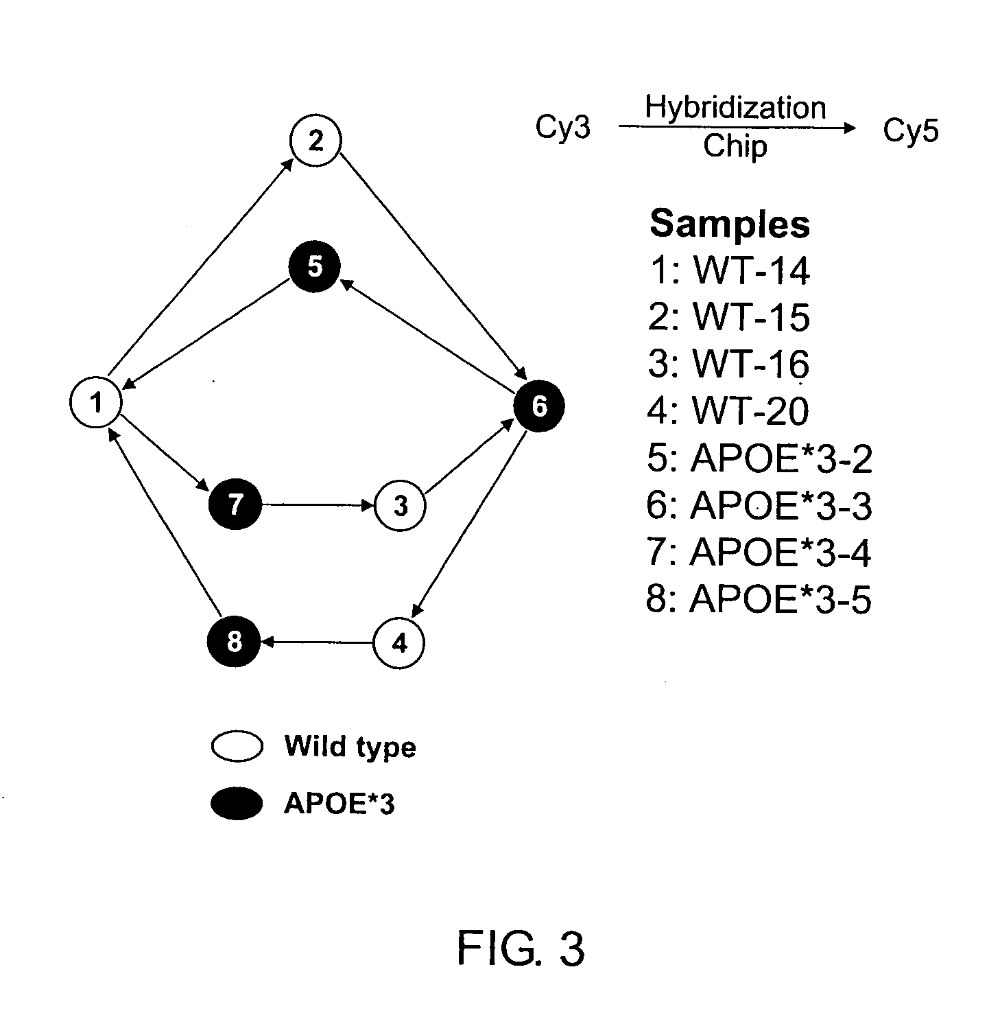 Methods and systems for profiling biological systems
