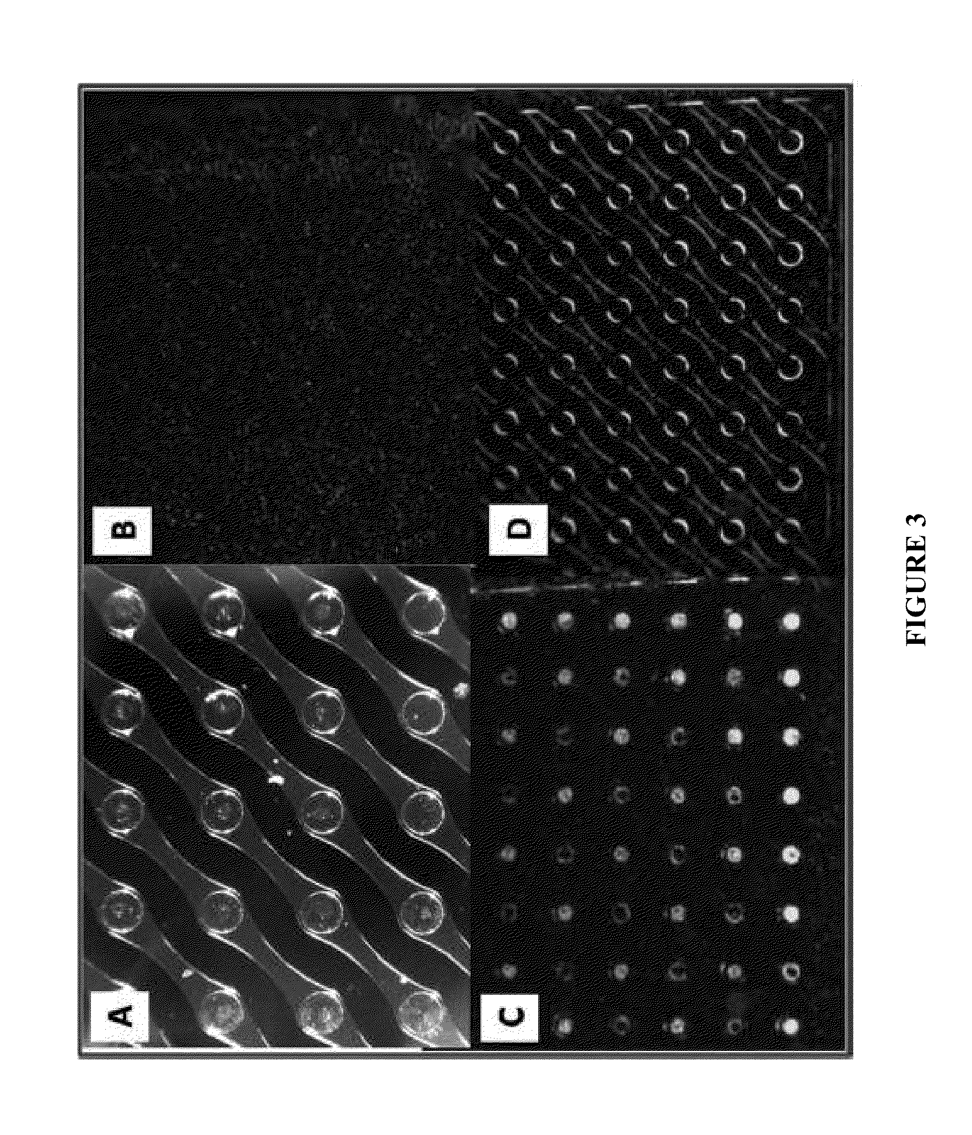 Nucleic acid sample preparation