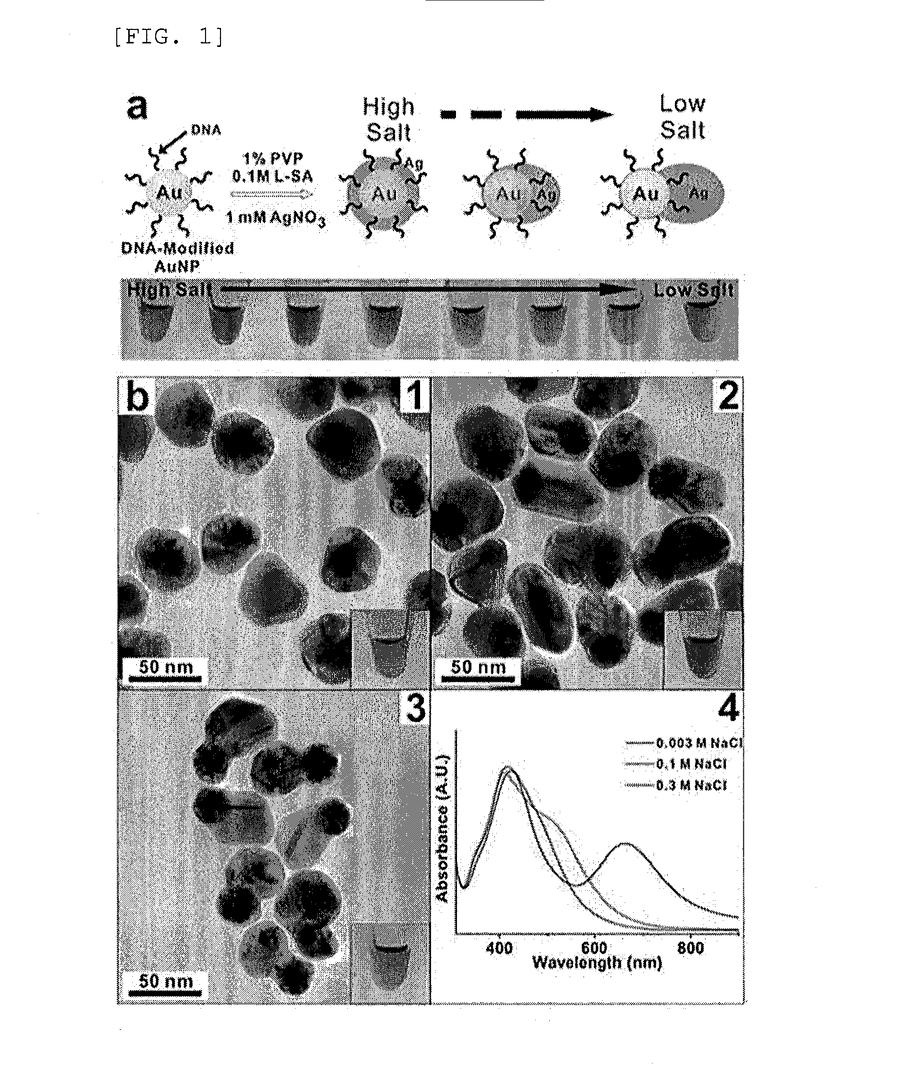 Nanoparticles in the shape of nanosnowman with a head part and a body part, a preparation method thereof and a detection method using the same