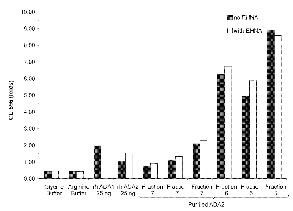 Recombinant human ada2 and ada2 fusion proteins and methods for treating ada2 deficiencies