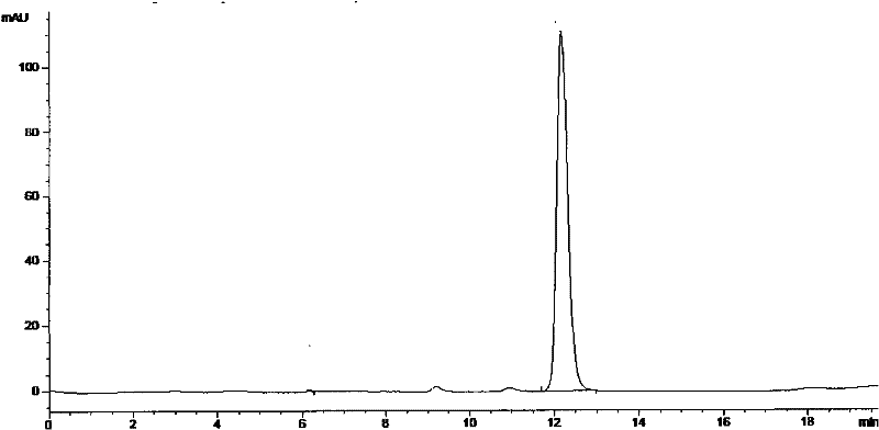 Pseudomonas putida strain and application thereof in preparing glycolic acid