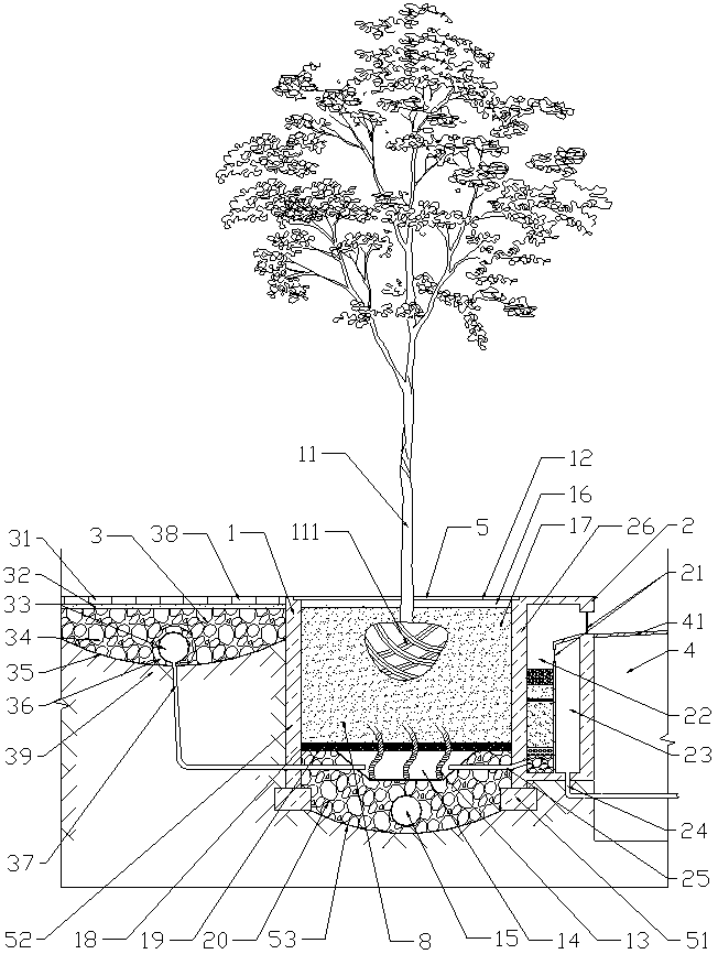 Shade tree pool with water storage and drainage device