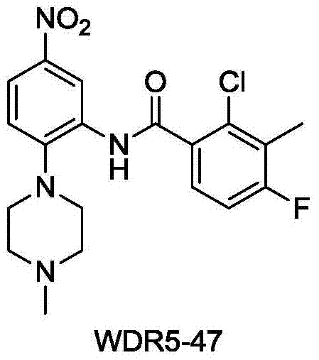 Amide compound, preparation method and medical use thereof