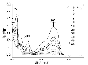 Activated carbon loaded iron-cobalt oxide catalyst and application thereof in degrading organic pollutants