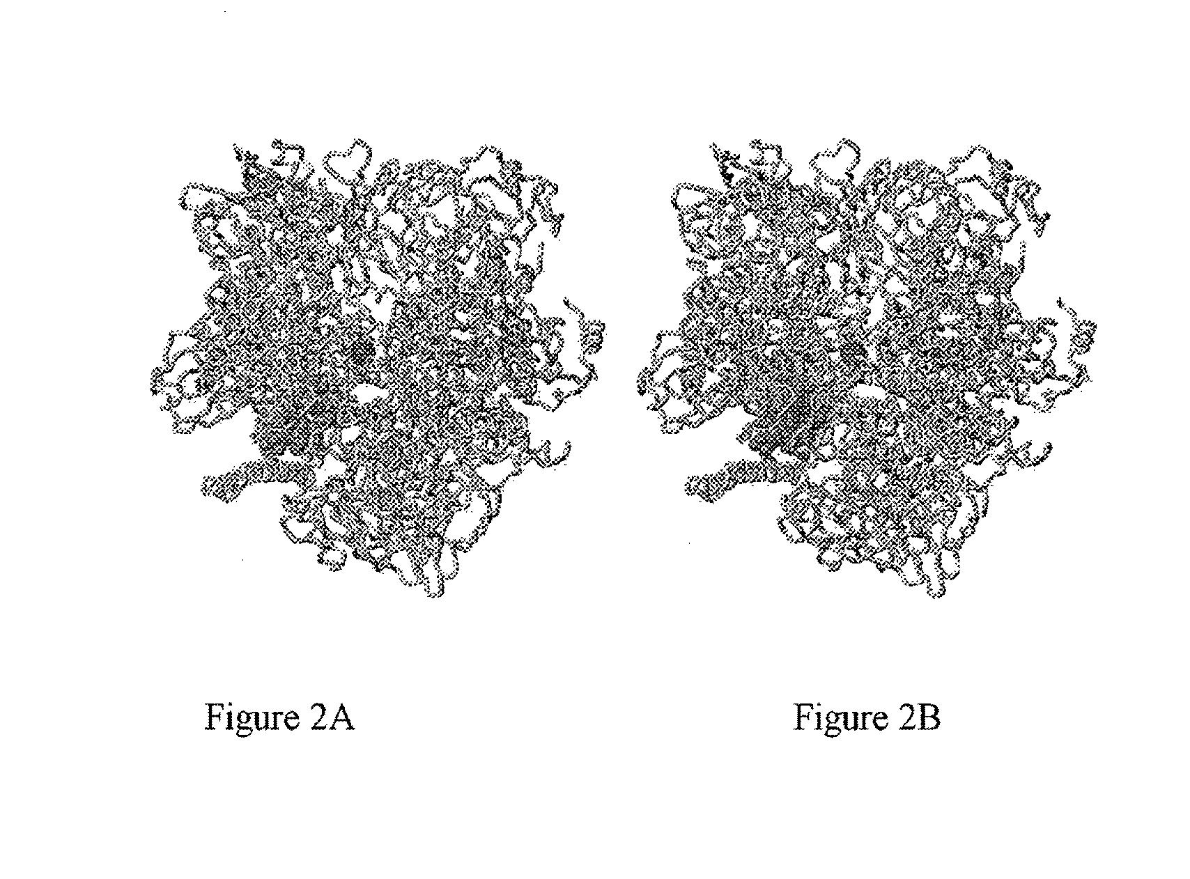 Non-mccj25-related lariat-peptide inhibitors of bacterial RNA polymerase