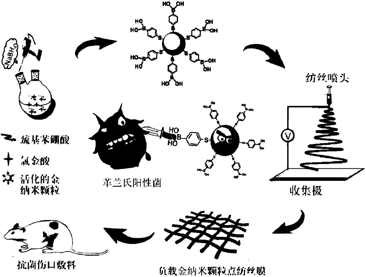 Gold nanoparticles activated by mercaptophenylboronic acid and preparation method and application of gold nanoparticles