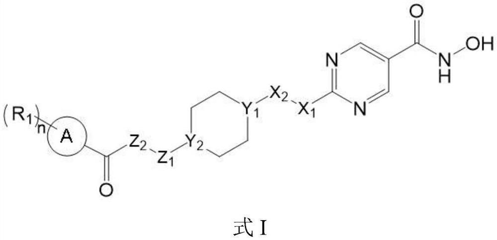 Hydroximic acid derivative and application thereof