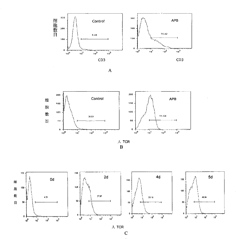 Method for amplifying and multiplying T cells with antigenic specificity