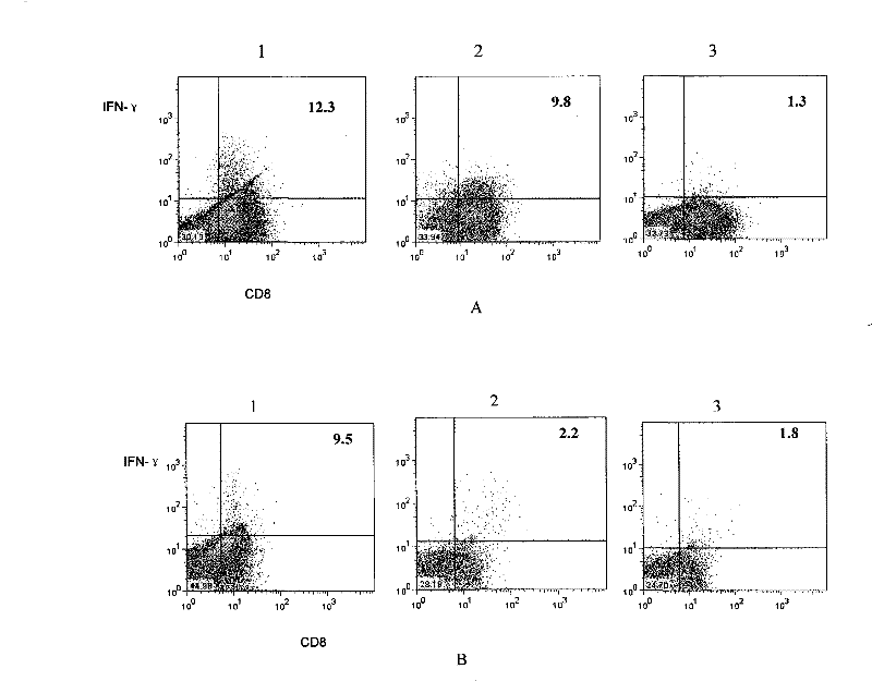 Method for amplifying and multiplying T cells with antigenic specificity