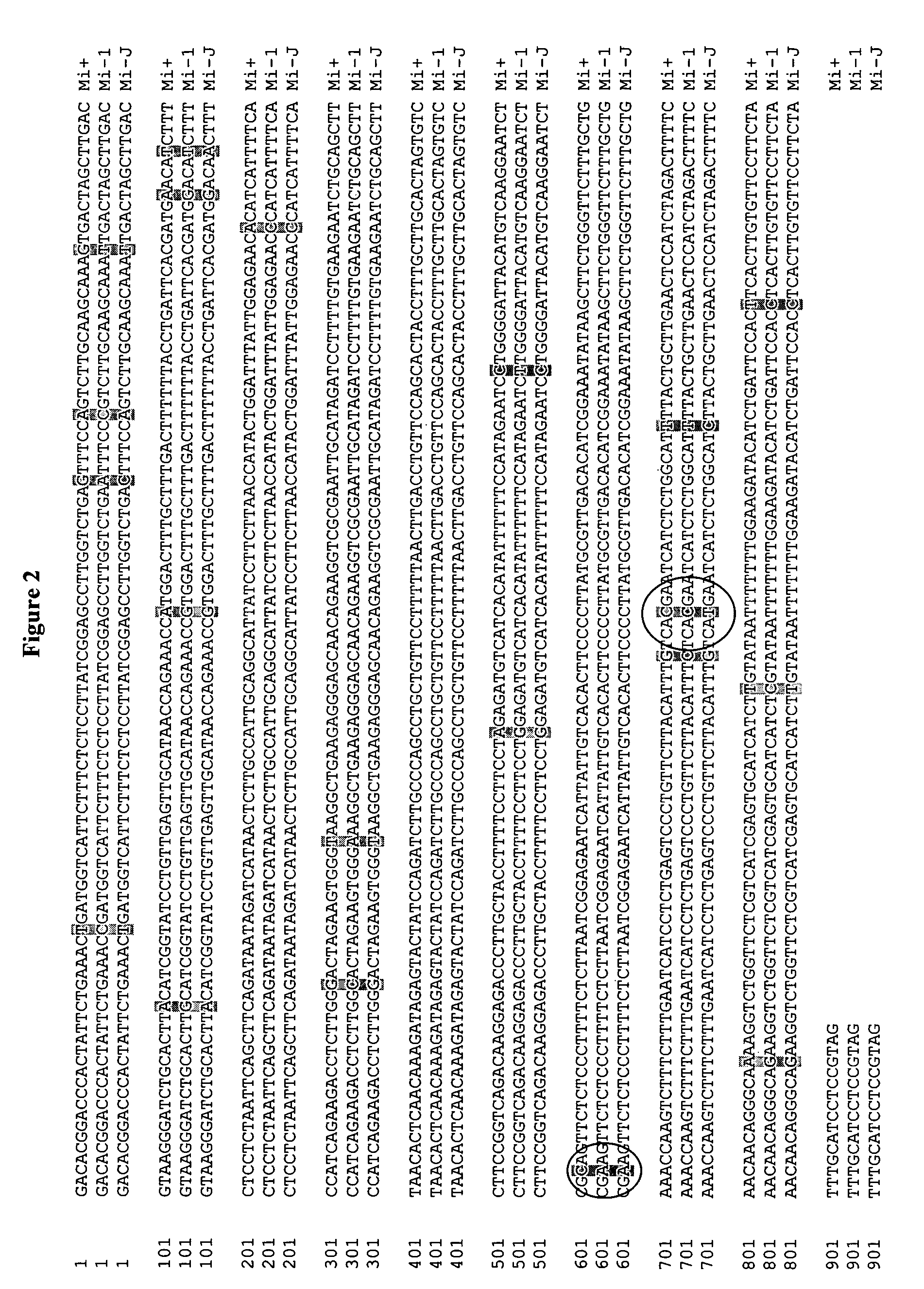 Methods for coupling resistance alleles in tomato