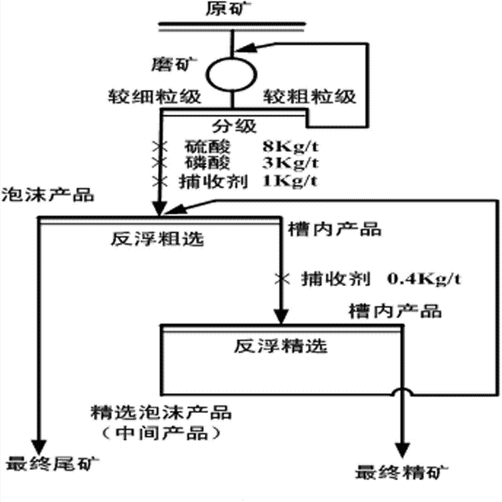 Process for reducing collophanite flotation tailing grade