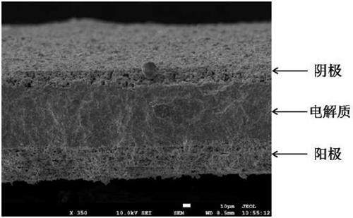 Preparation method of electrolyte-supported zirconium-based electrolyte membrane for solid oxide fuel cells