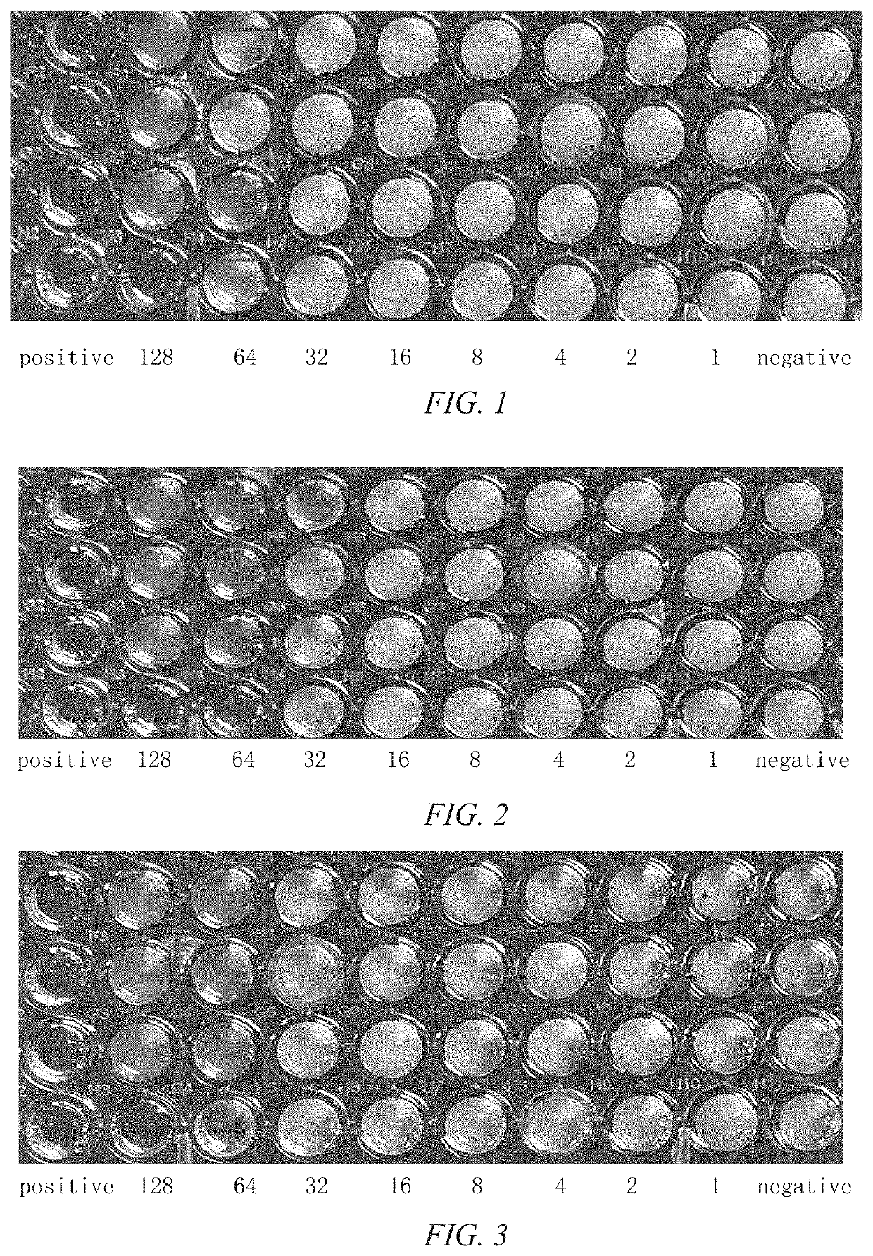 Pleuromulin rhein ester with anti-drug resistant bacteria activity and a method of preparing the same