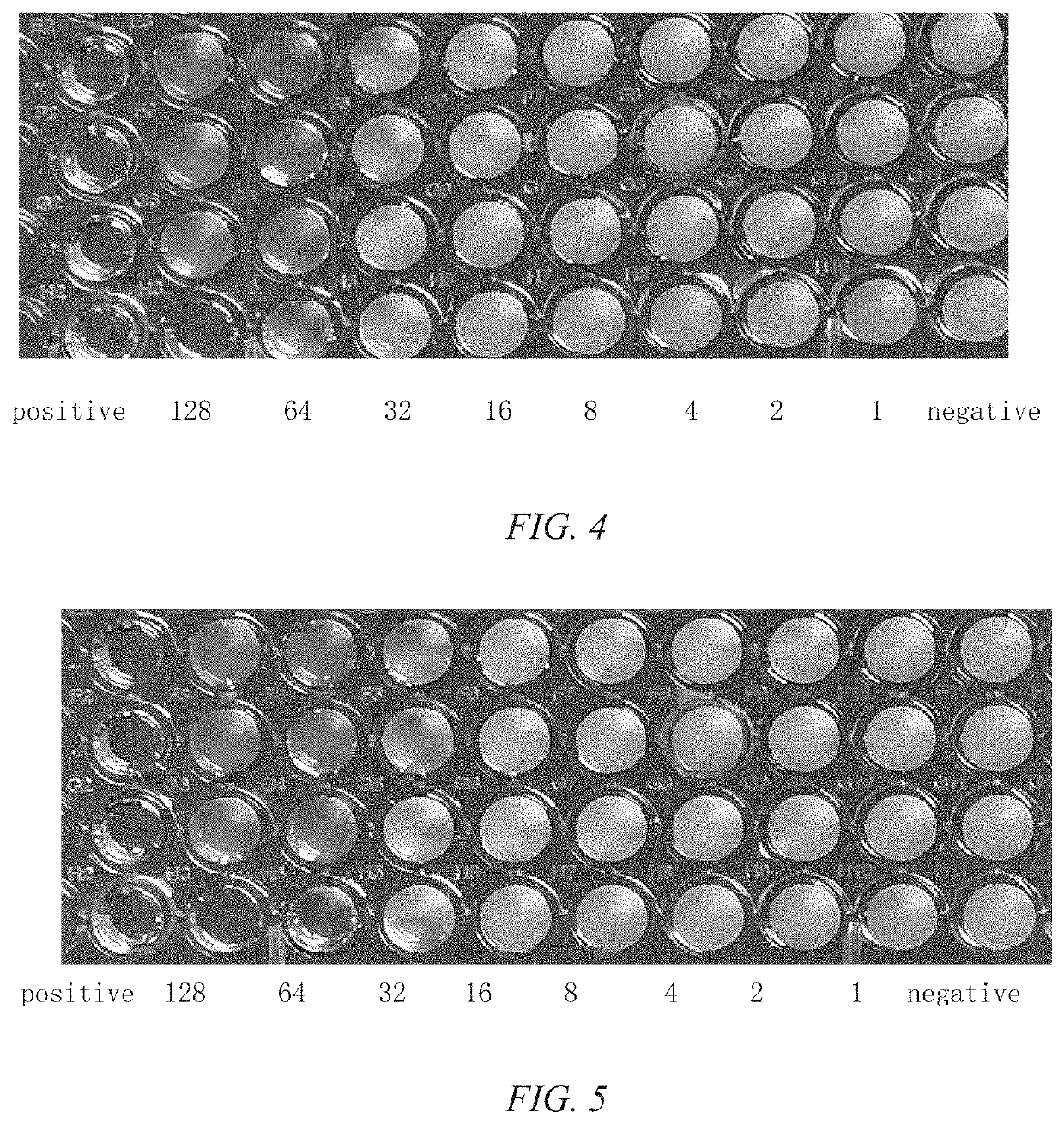 Pleuromulin rhein ester with anti-drug resistant bacteria activity and a method of preparing the same
