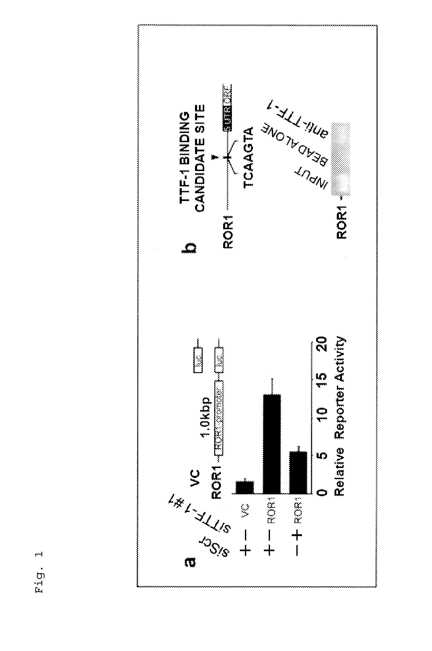 Method for suppressing receptor tyrosine kinase-mediated pro-survival signaling in cancer cell