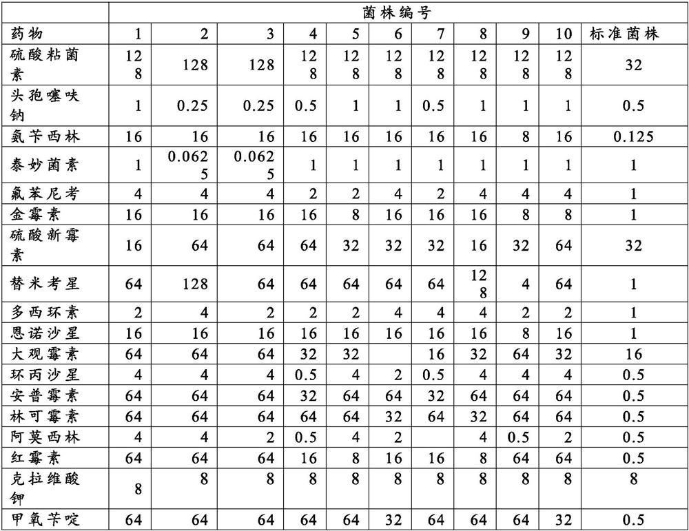 Composition for inhibiting multiple drug resistance of gram-negative bacteria of poultry and application of composition