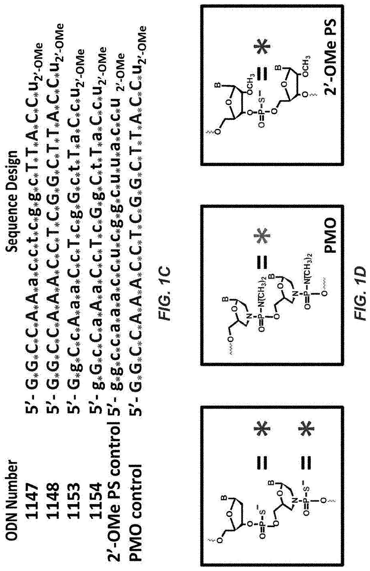 Thiomorpholino Oligonucleotides For The Treatment of Muscular Dystrophy