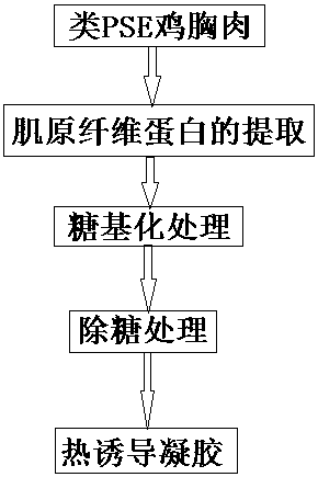 Glycosylation method for improving PSE chicken breast myofibrillar protein gel quality