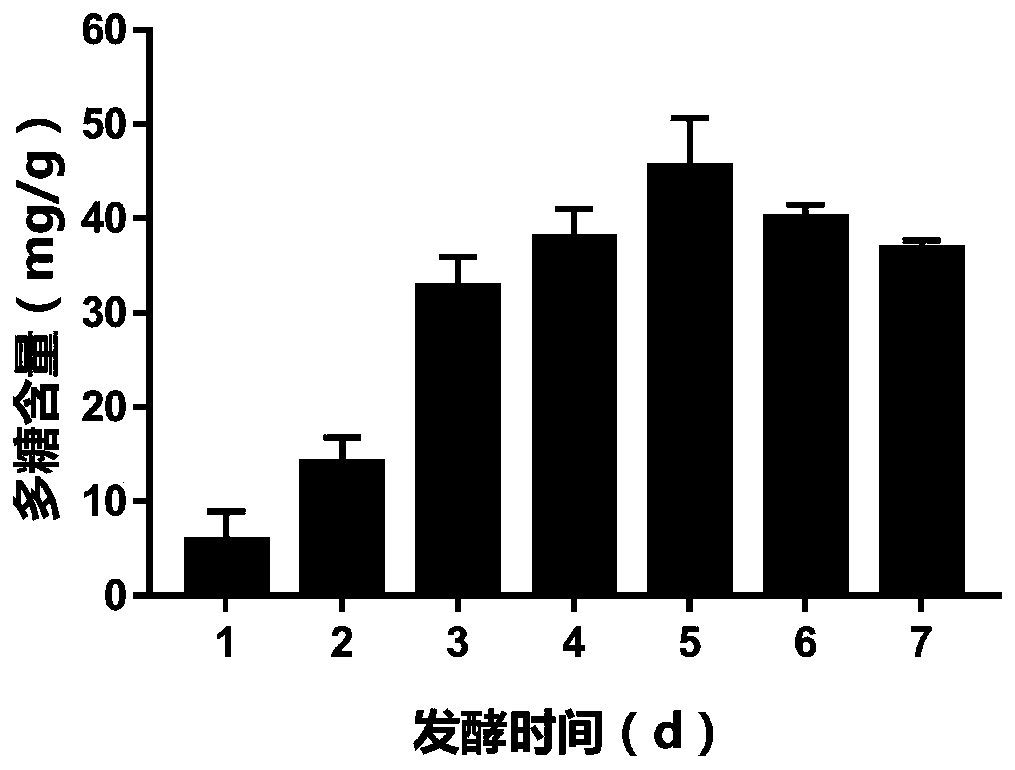 Flammulina velutipes antifreeze polysaccharide, and preparation method and application thereof