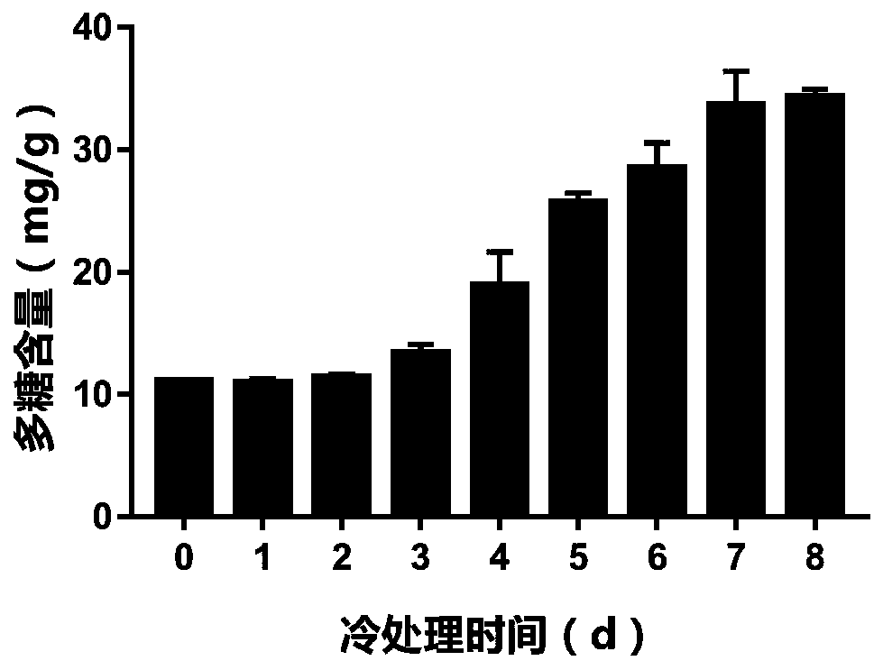 Flammulina velutipes antifreeze polysaccharide, and preparation method and application thereof