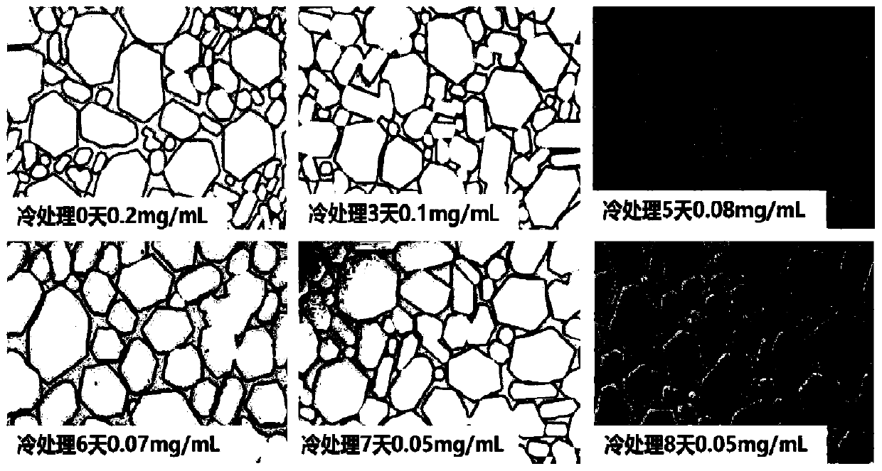 Flammulina velutipes antifreeze polysaccharide, and preparation method and application thereof