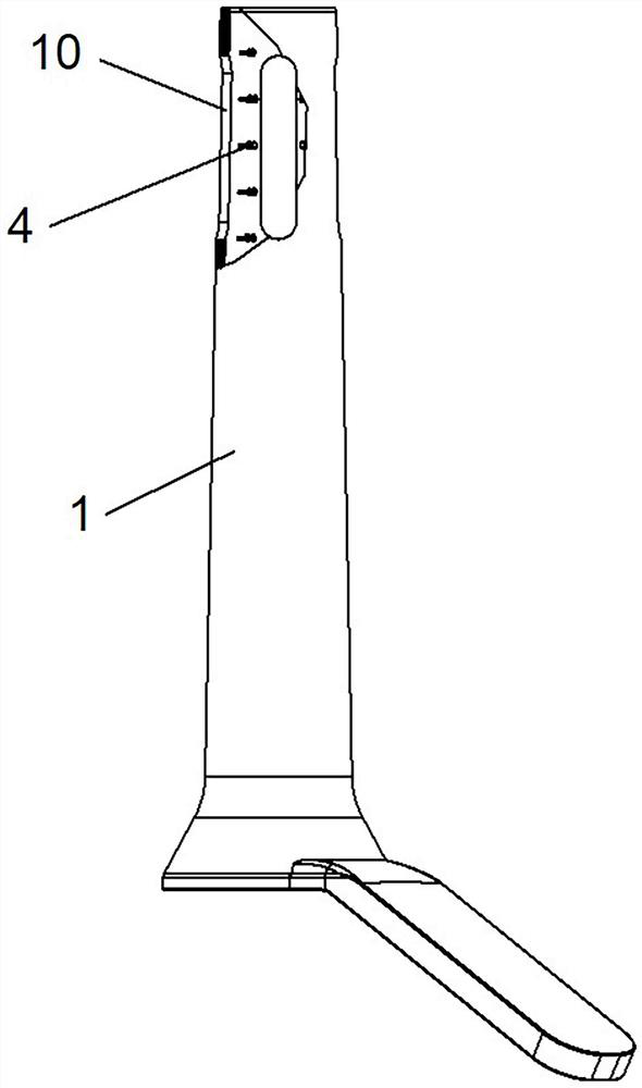 Visual rectal tumor insection edge positioning device