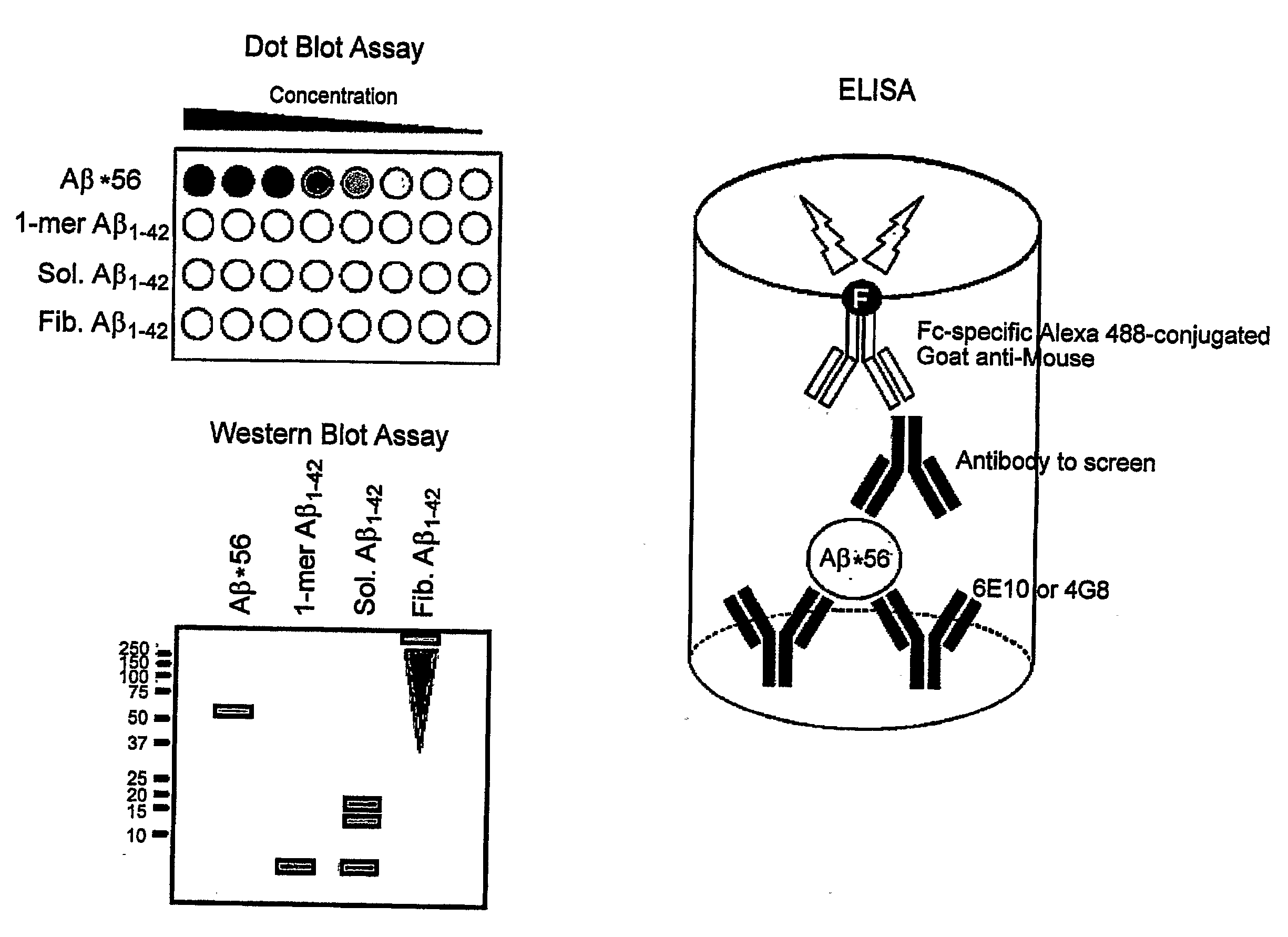 Assemblies of Oligomeric Amyloid Beta Protein and Uses Thereof