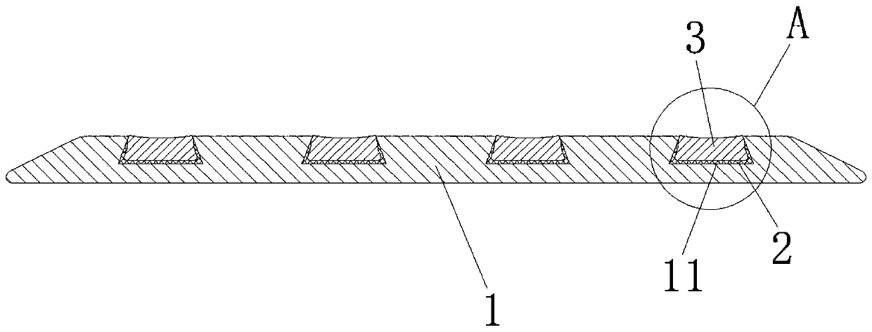 Self-luminous emergency passage protection strip and preparation method thereof