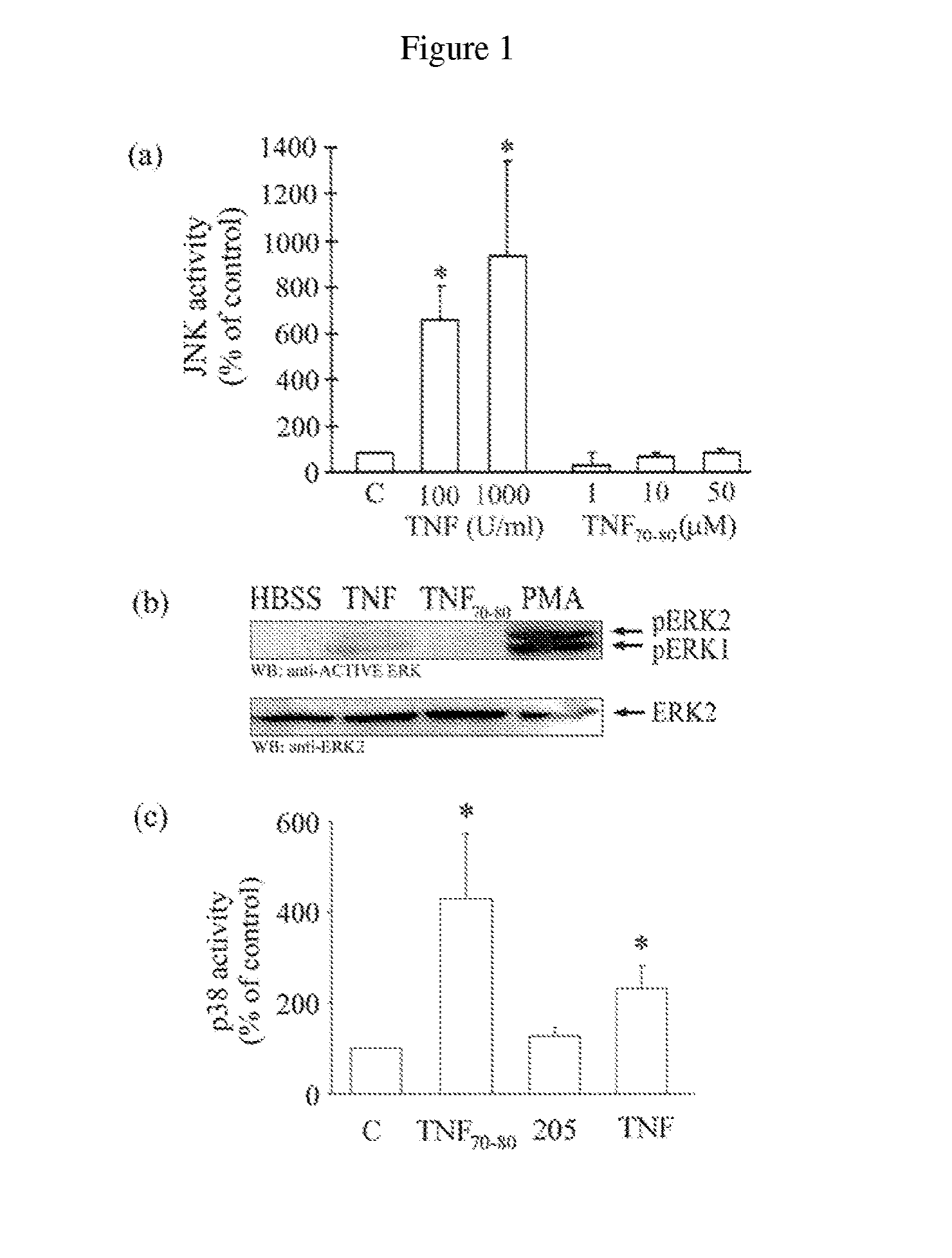 Methods of identifying agents that selectively activate p38 and/or NFkB signaling