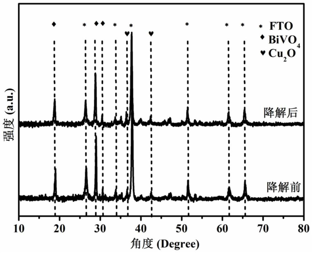 Photo-anode for slowing down corrosion in photoelectrocatalysis wastewater treatment process by using amorphous cobalt phosphate Co-Pi, preparation method and application thereof