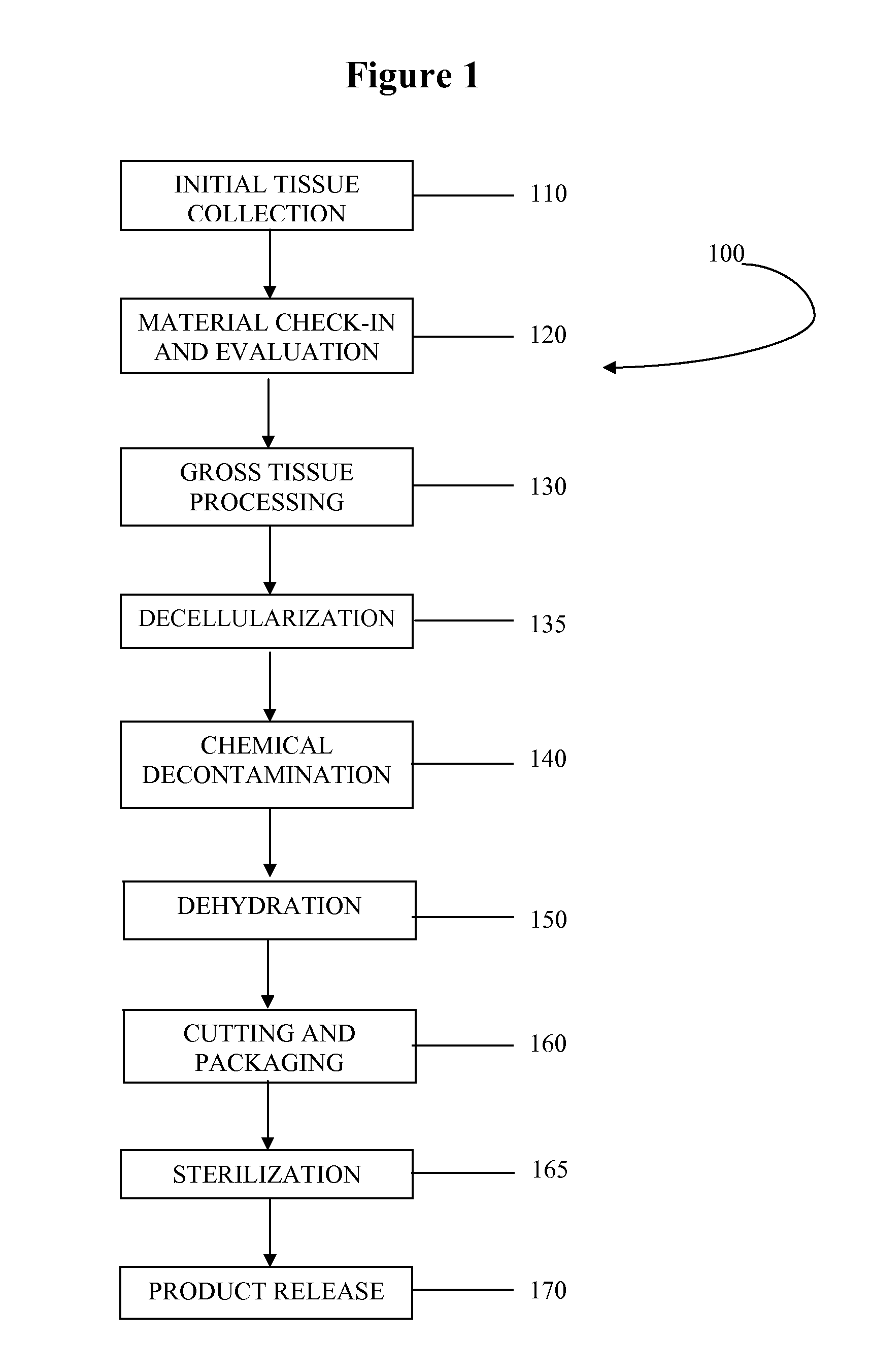 Placental tissue grafts and improved methods of preparing and using the same