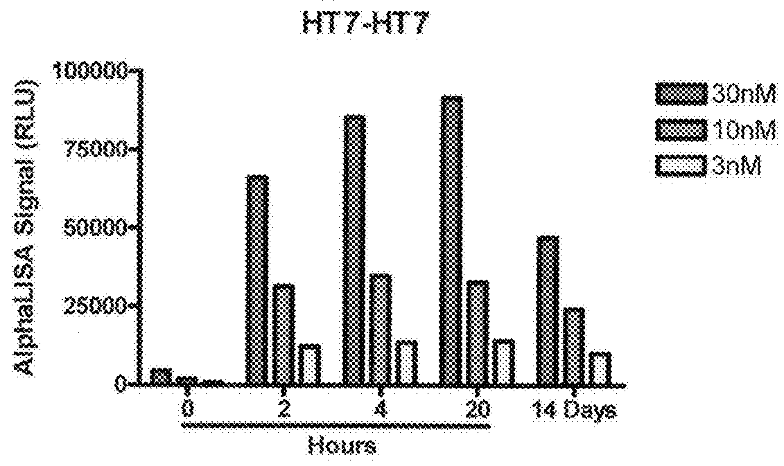 Cellular expression model of tau aggregation