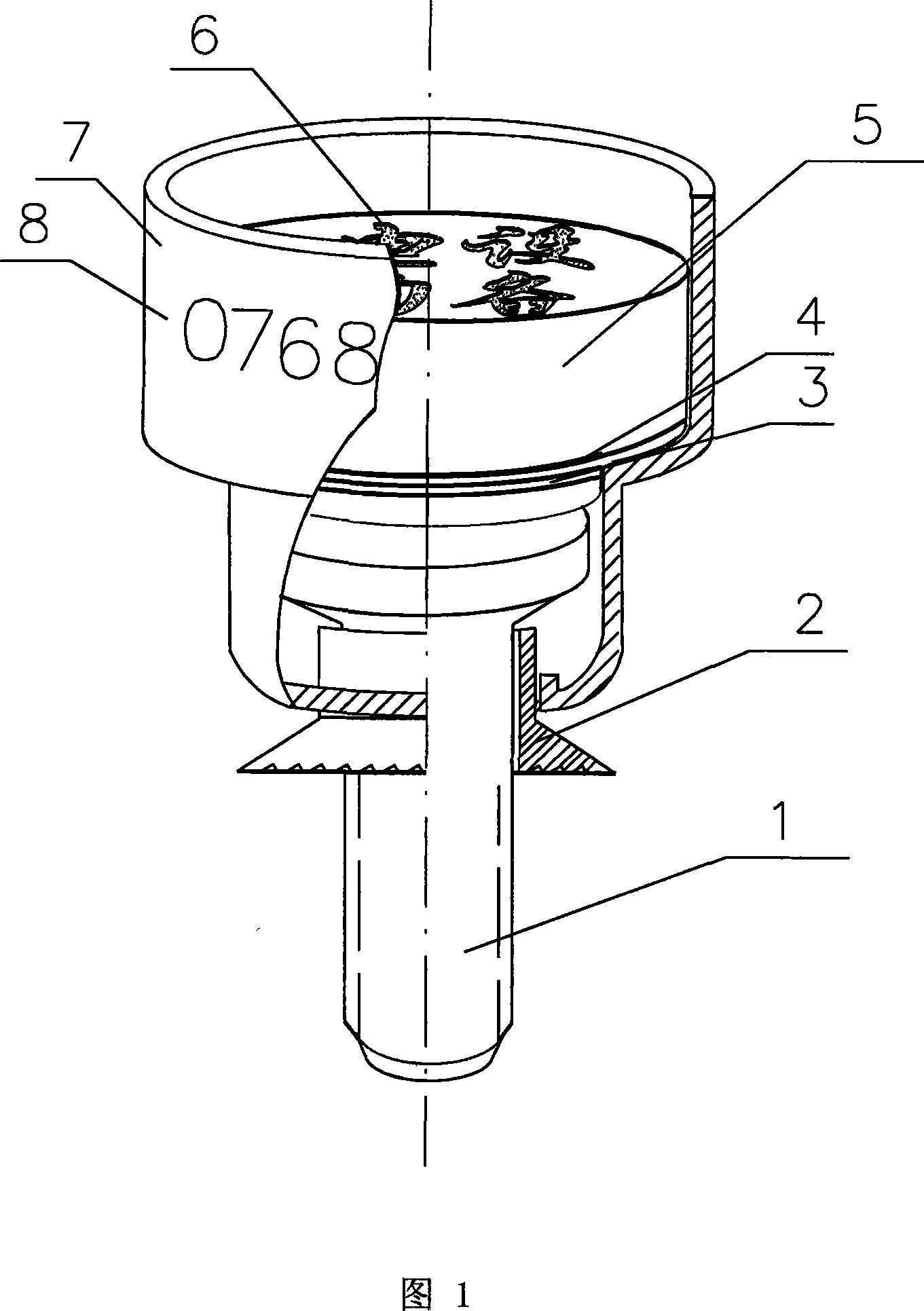 Bolt nailhead lead-sealing method and device