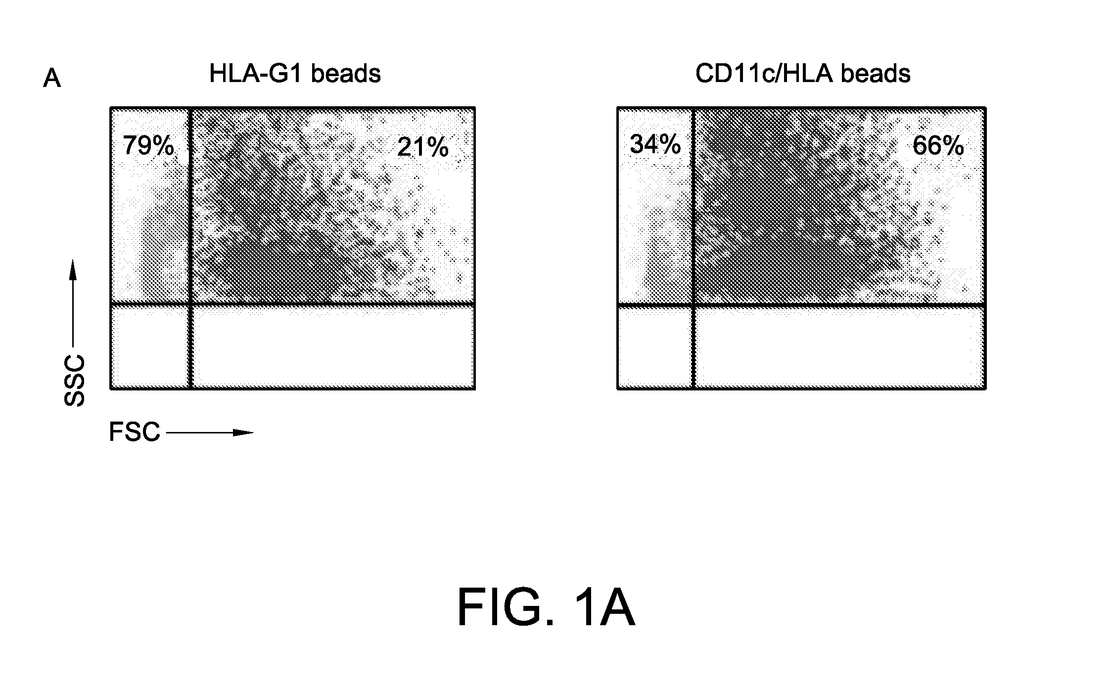 Hla-g compositions and methods of use thereof