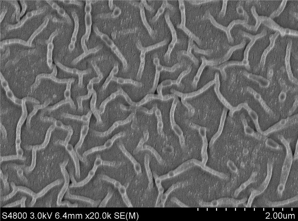 Composite film and its preparation method and application