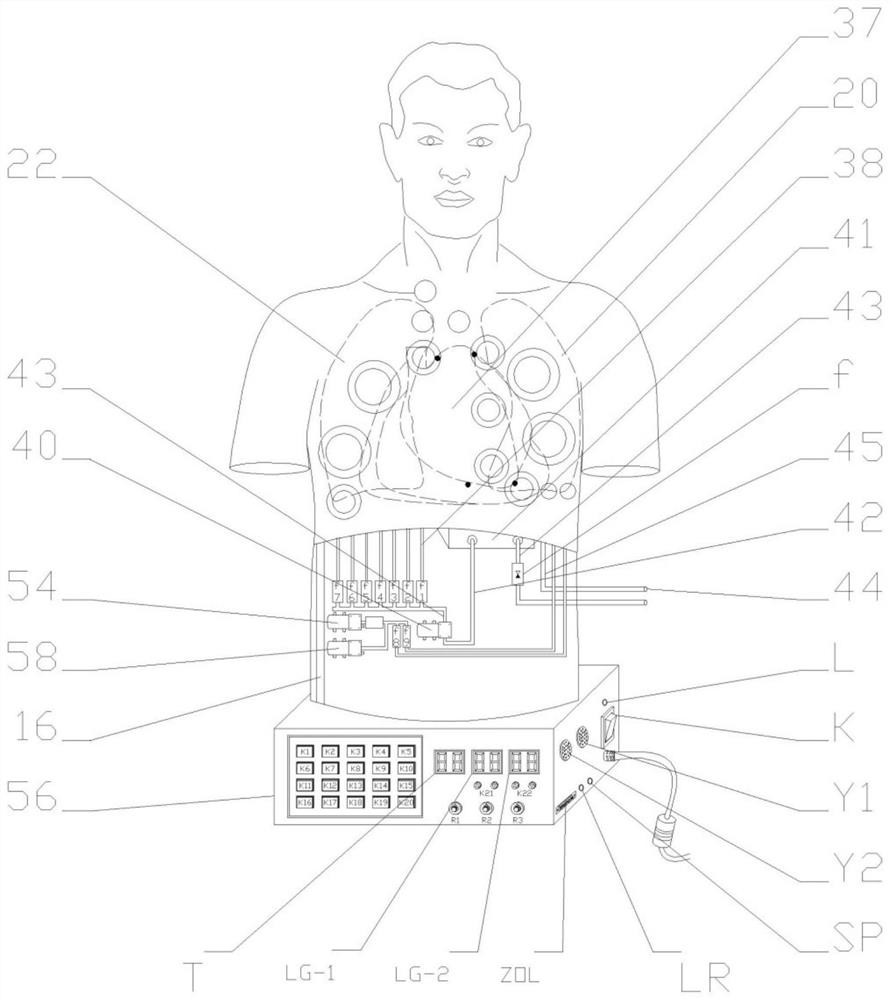 High-simulation intelligent full-automatic chest four-diagnosis examination computer dummy
