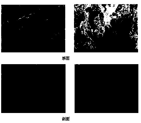 Preparation method of directional porous special cement