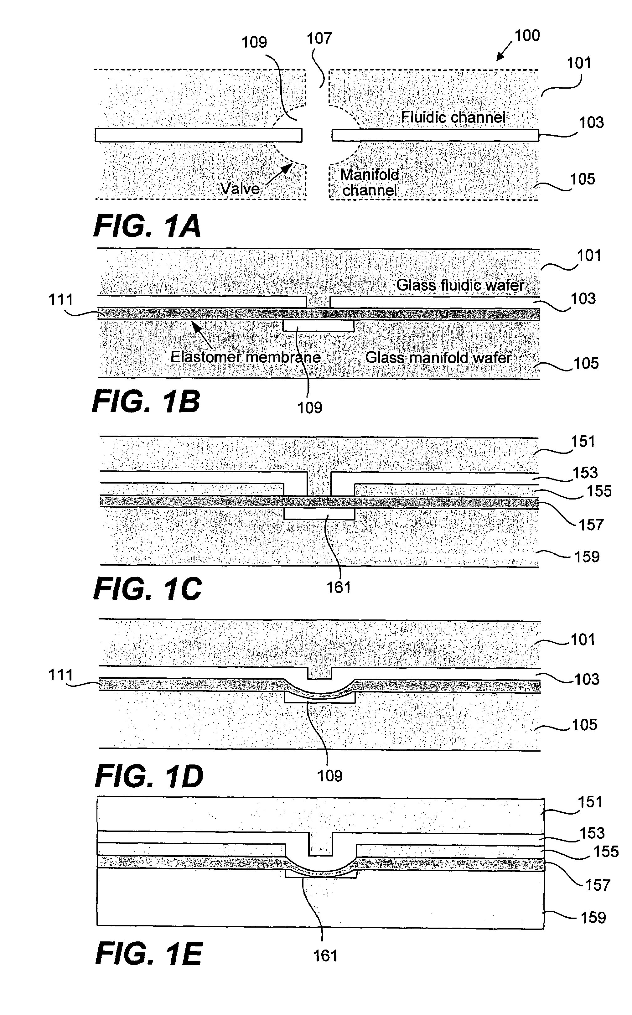 Fluid control structures in microfluidic devices
