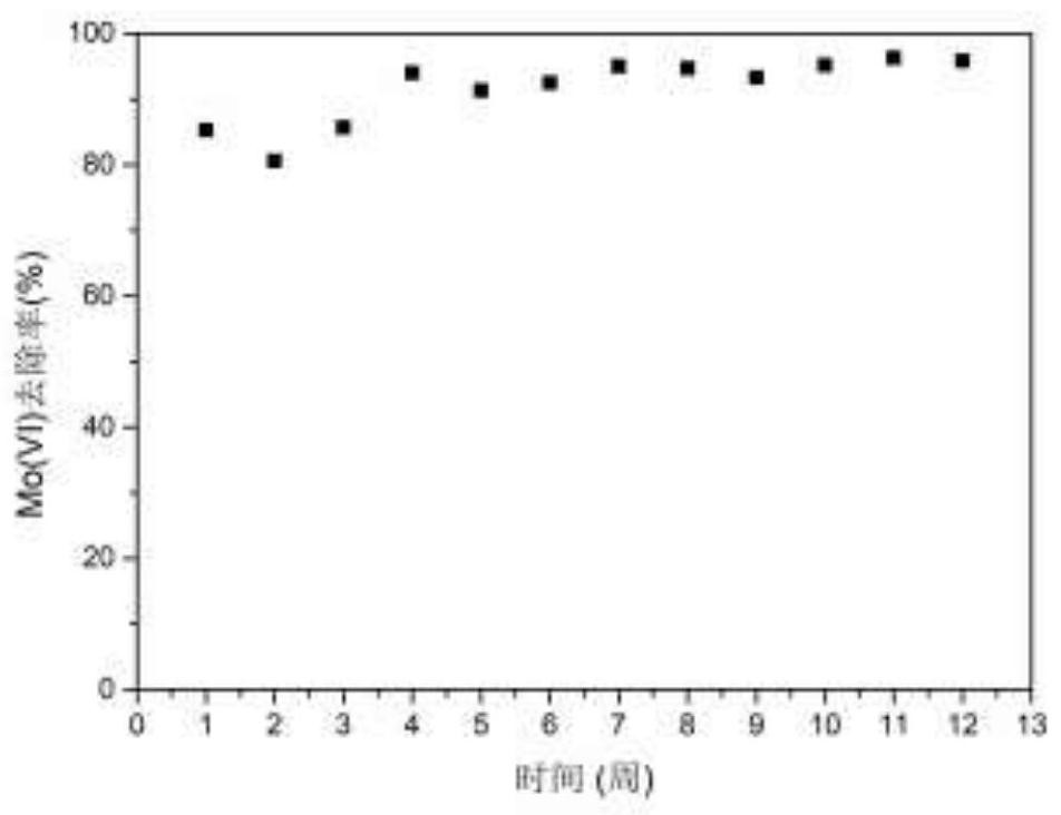 Efficient molybdenum removal vertical subsurface flow constructed wetland purification device