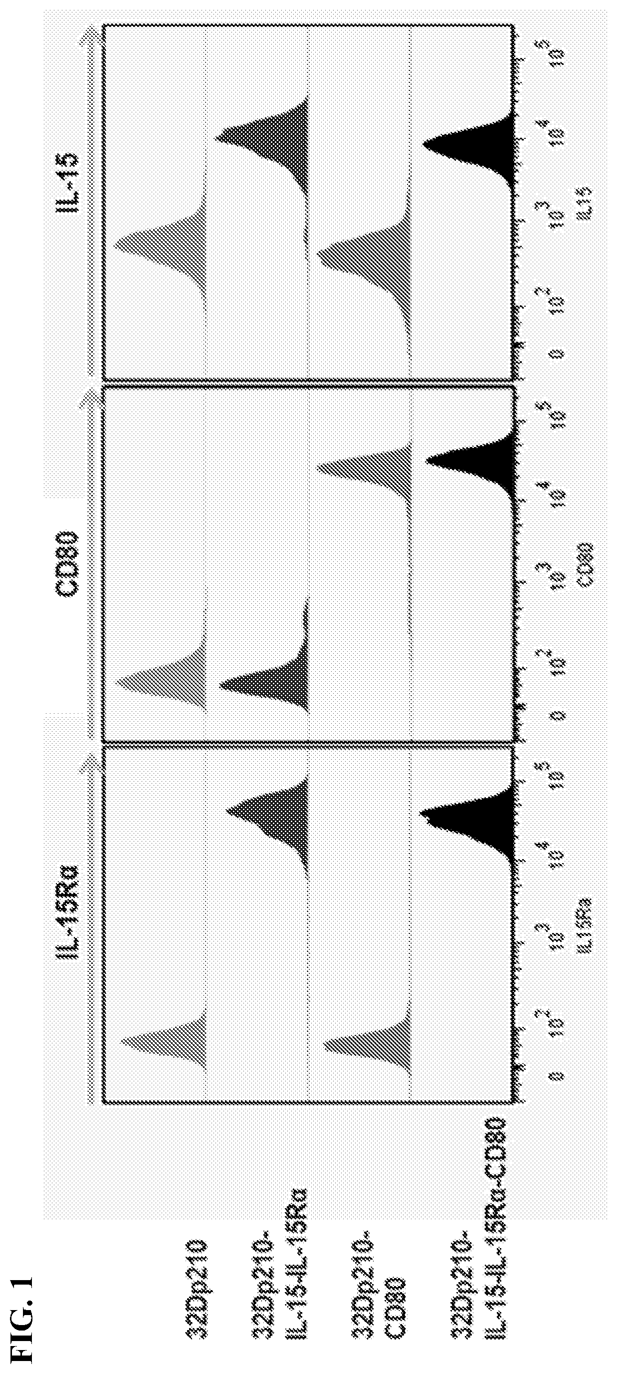 Autologous irradiated whole cell tumor vaccines lentivirally engineered to express cd80, il-15 and il-15 receptor alpha