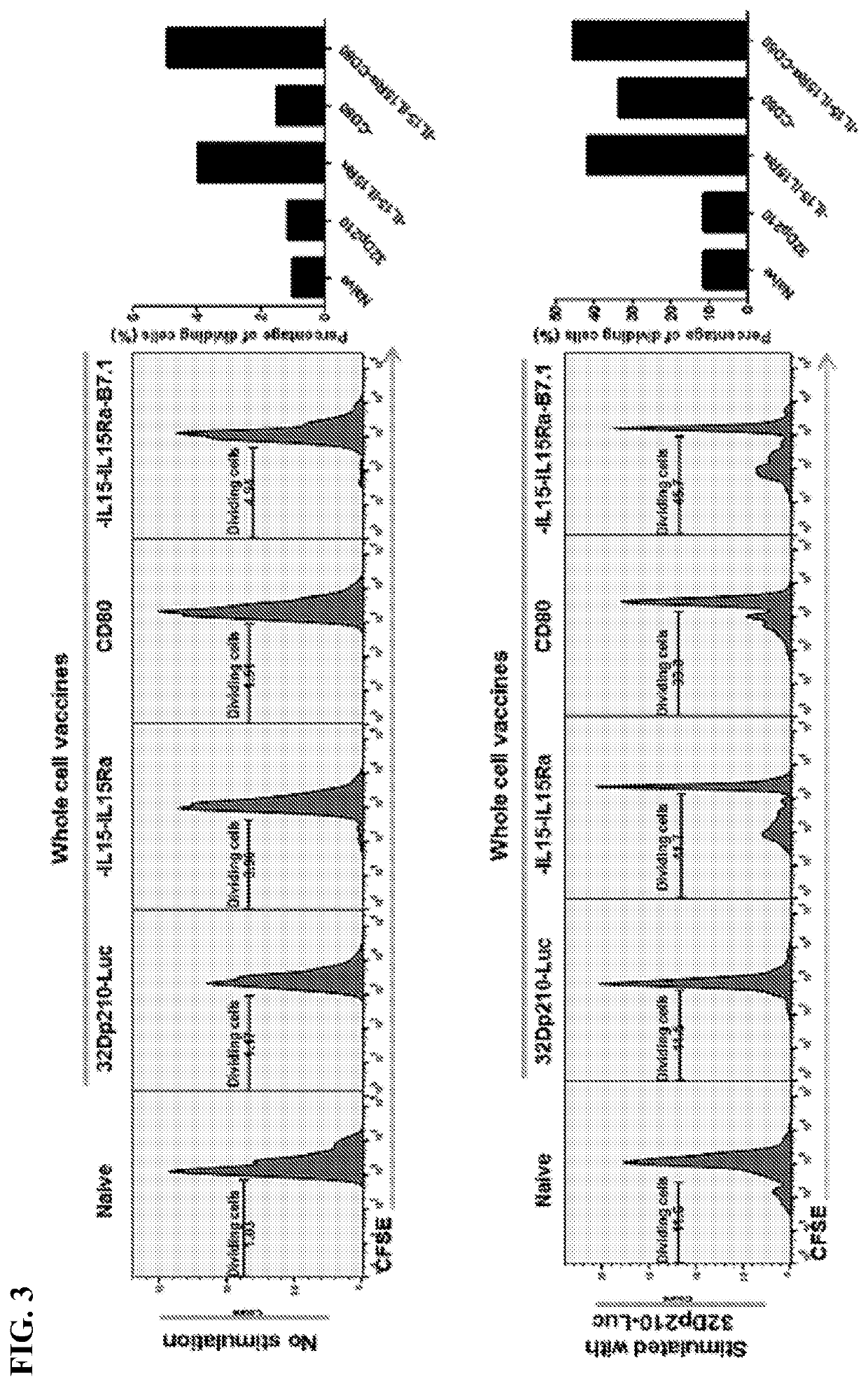 Autologous irradiated whole cell tumor vaccines lentivirally engineered to express cd80, il-15 and il-15 receptor alpha