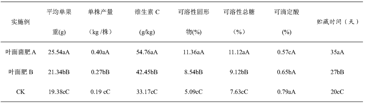 Strawberry high-efficiency foliar bacterial fertilizer and preparation method and application thereof