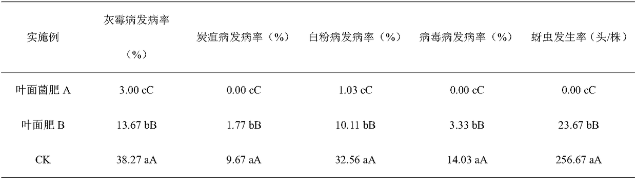 Strawberry high-efficiency foliar bacterial fertilizer and preparation method and application thereof