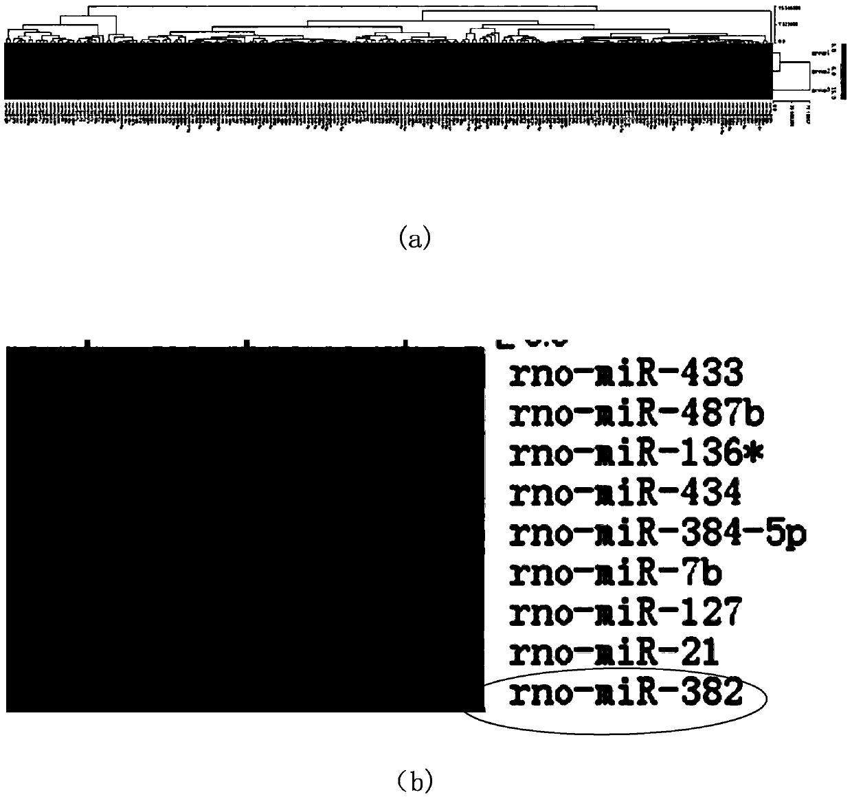 Use of miRNA-382 to regulate expression of akt3 gene