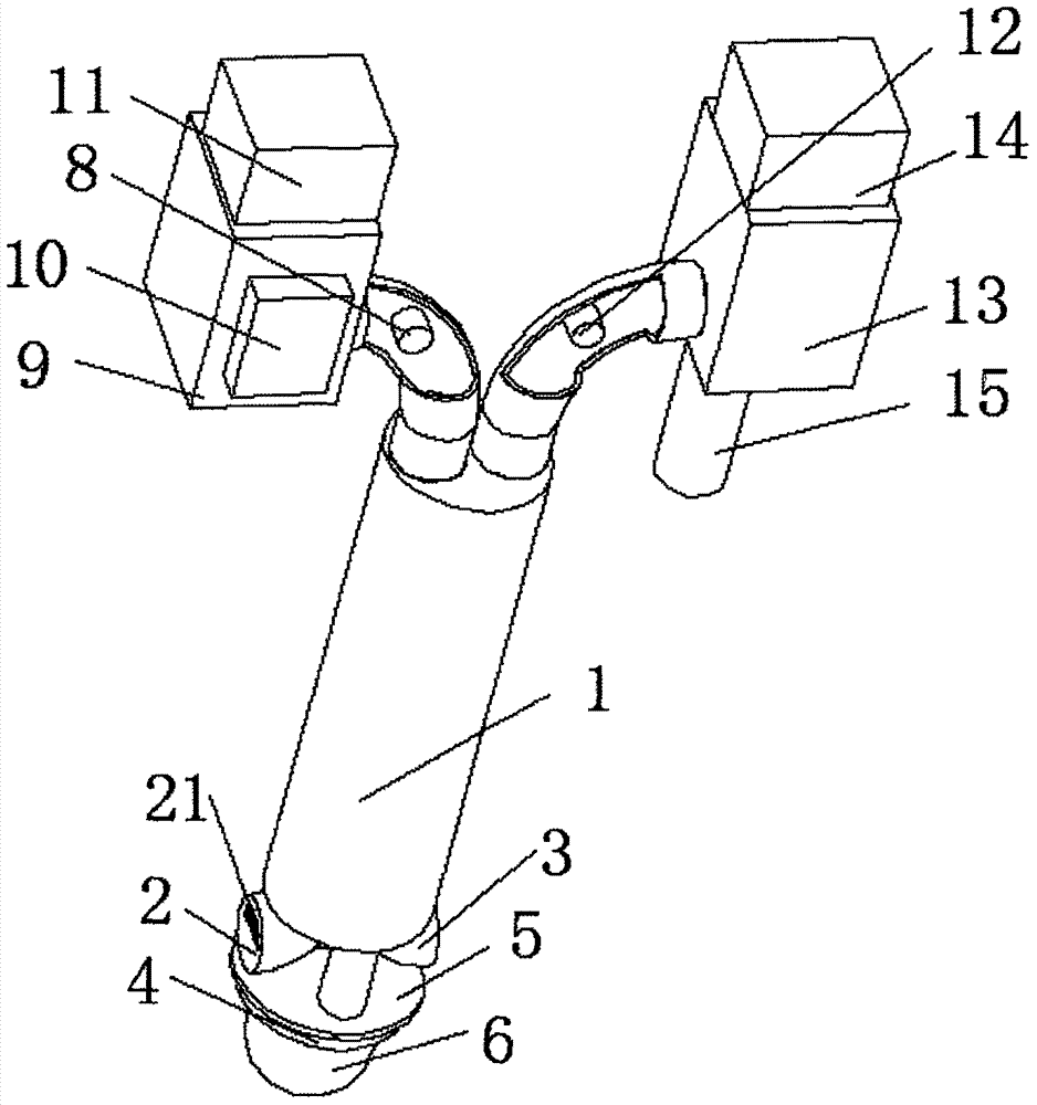 Multifunctional visualized gastrointestinal decompression device