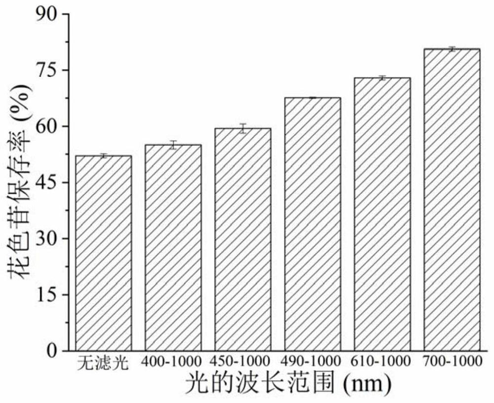 A color protection method for anthocyanin-rich purple rice wine