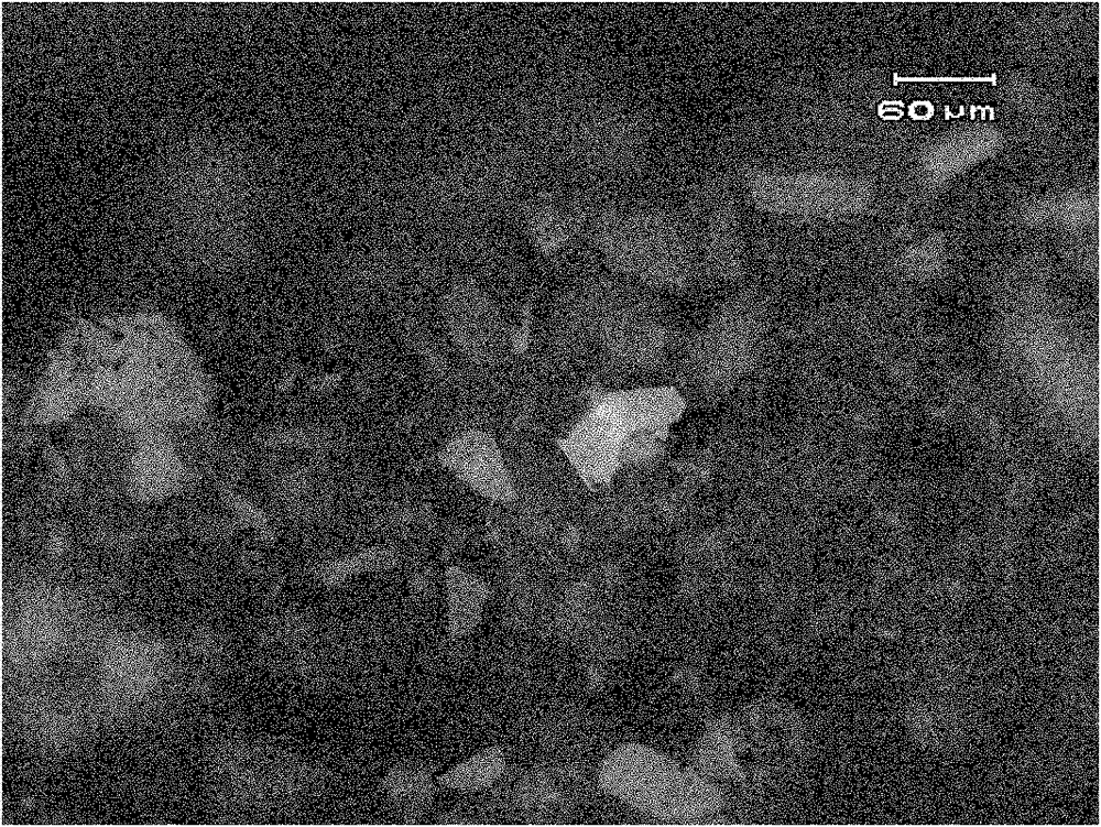 Method for growing zinc oxide monocrystalline under hydrothermal condition by utilizing mineralizer